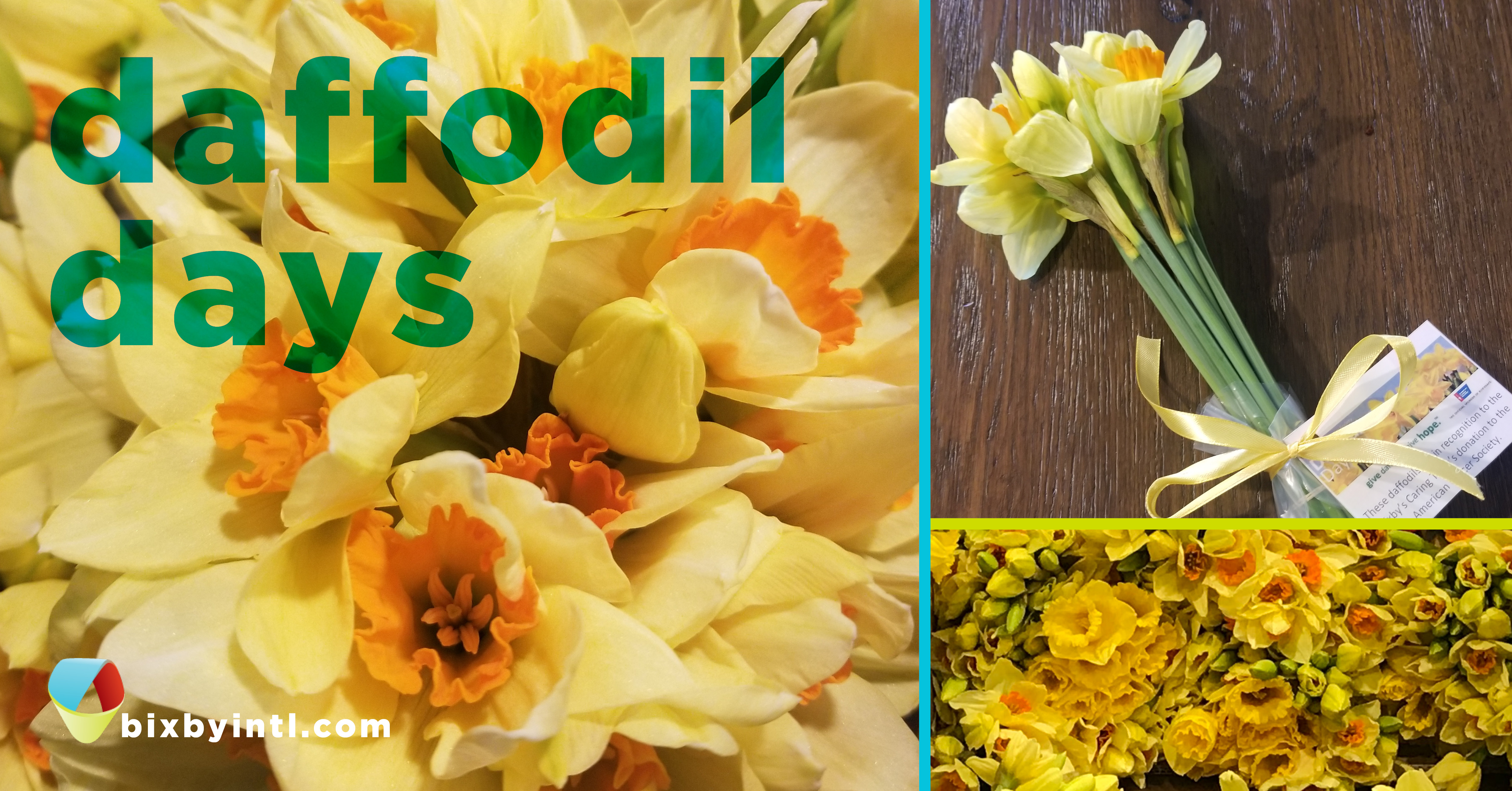 032921-Daffodil Days