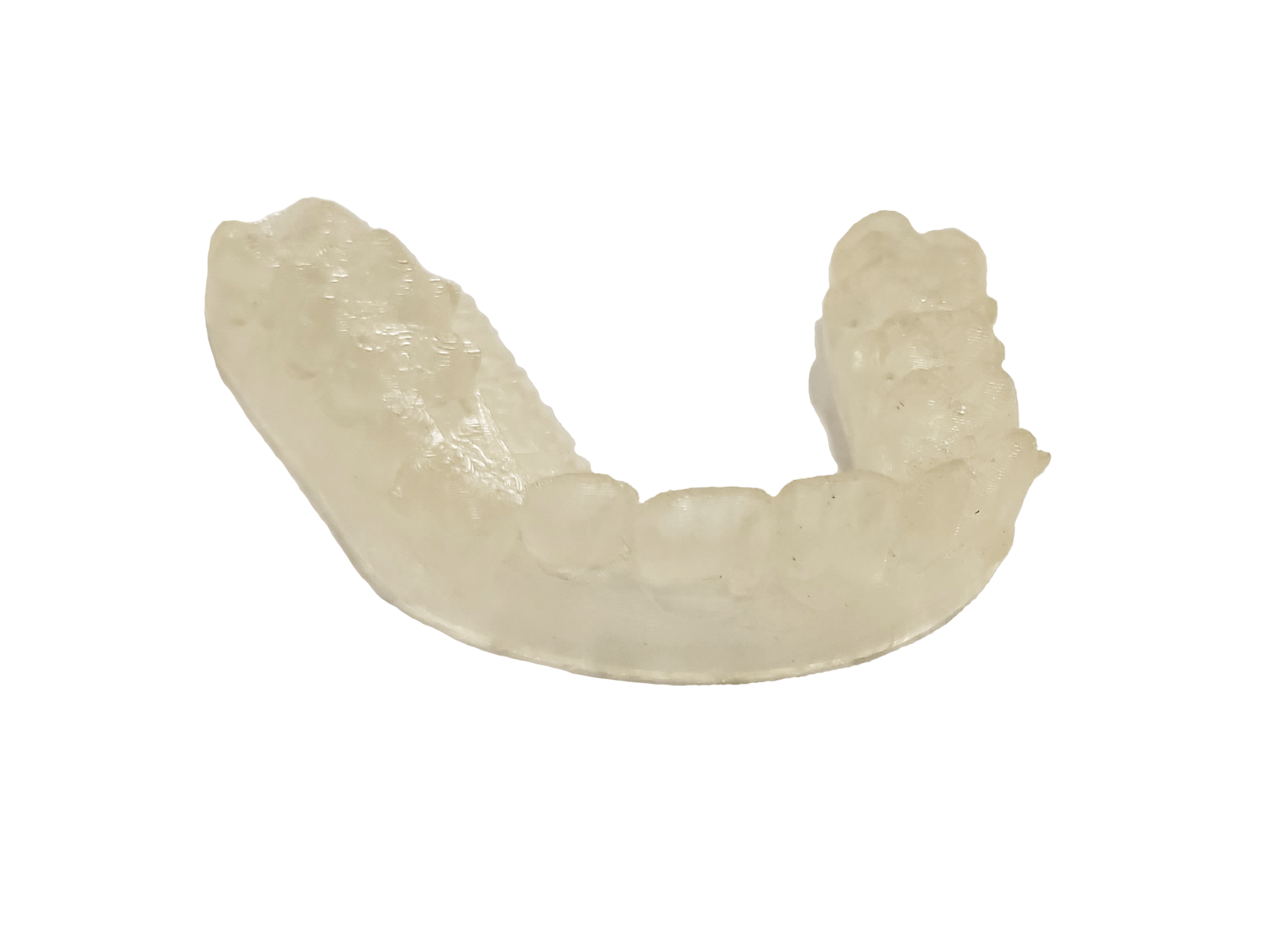 Bixby Dental Molded Form of Teeth
