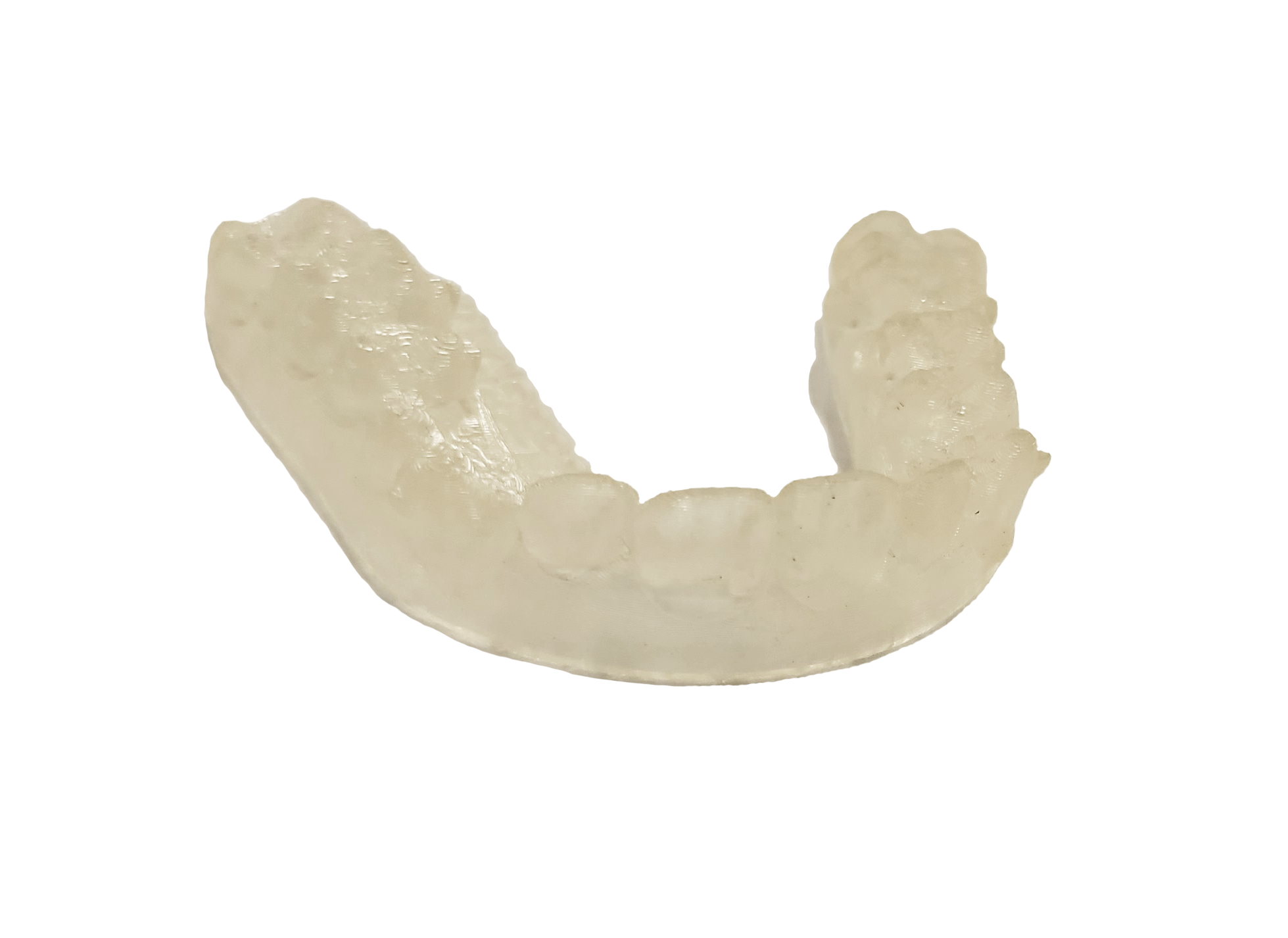 Bixby Dental Molded Form of Teeth